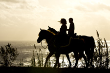 Portugal-Azores-Faial Island Trail